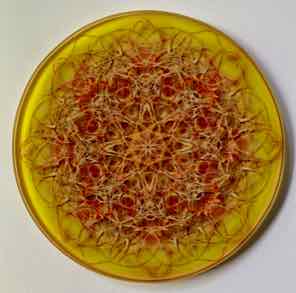 4 INCH
ROUND GLASS COASTER
YELLOW SILVER LACE